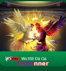 betwinner